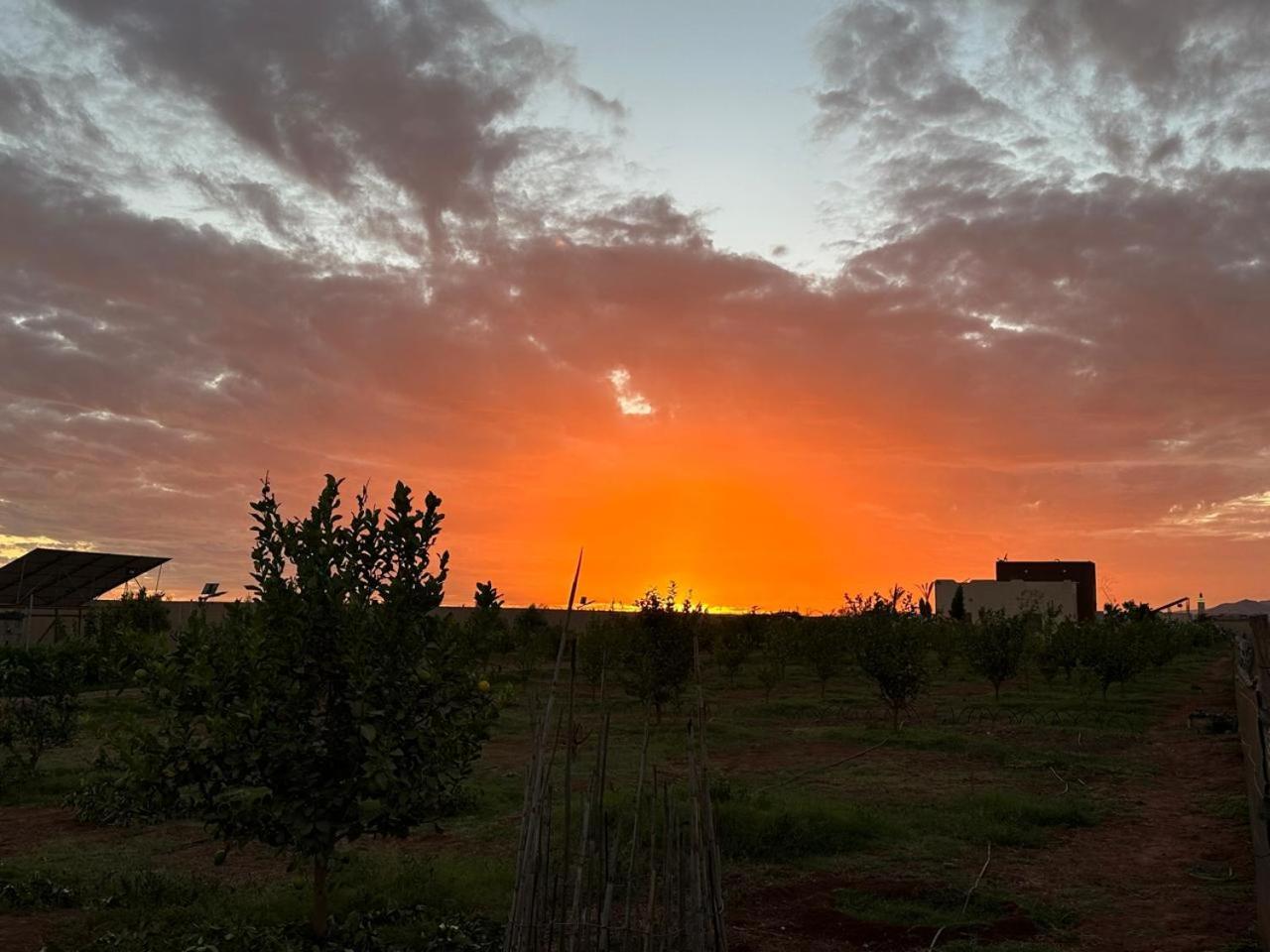 New !! Calm And Peaceful Villa Inside A Farmstay In Agadir-Only For Family Exterior photo