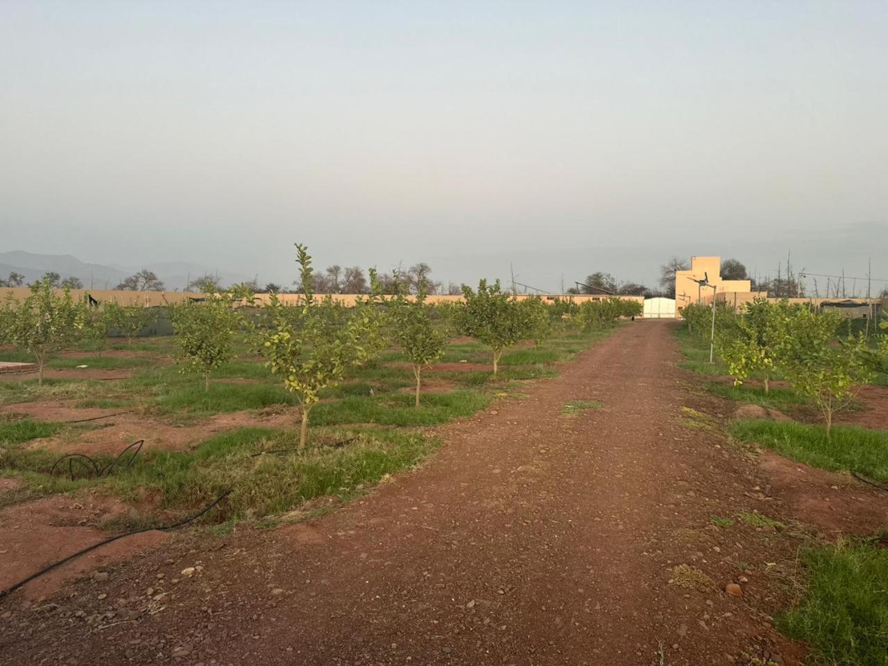 New !! Calm And Peaceful Villa Inside A Farmstay In Agadir-Only For Family Exterior photo