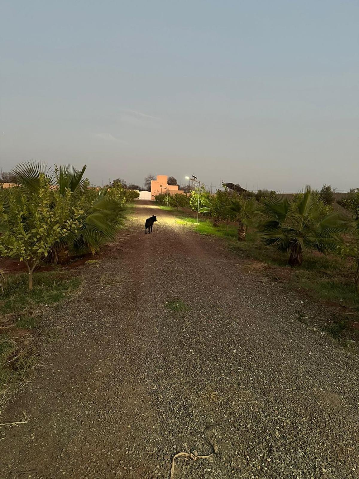 New !! Calm And Peaceful Villa Inside A Farmstay In Agadir-Only For Family Exterior photo