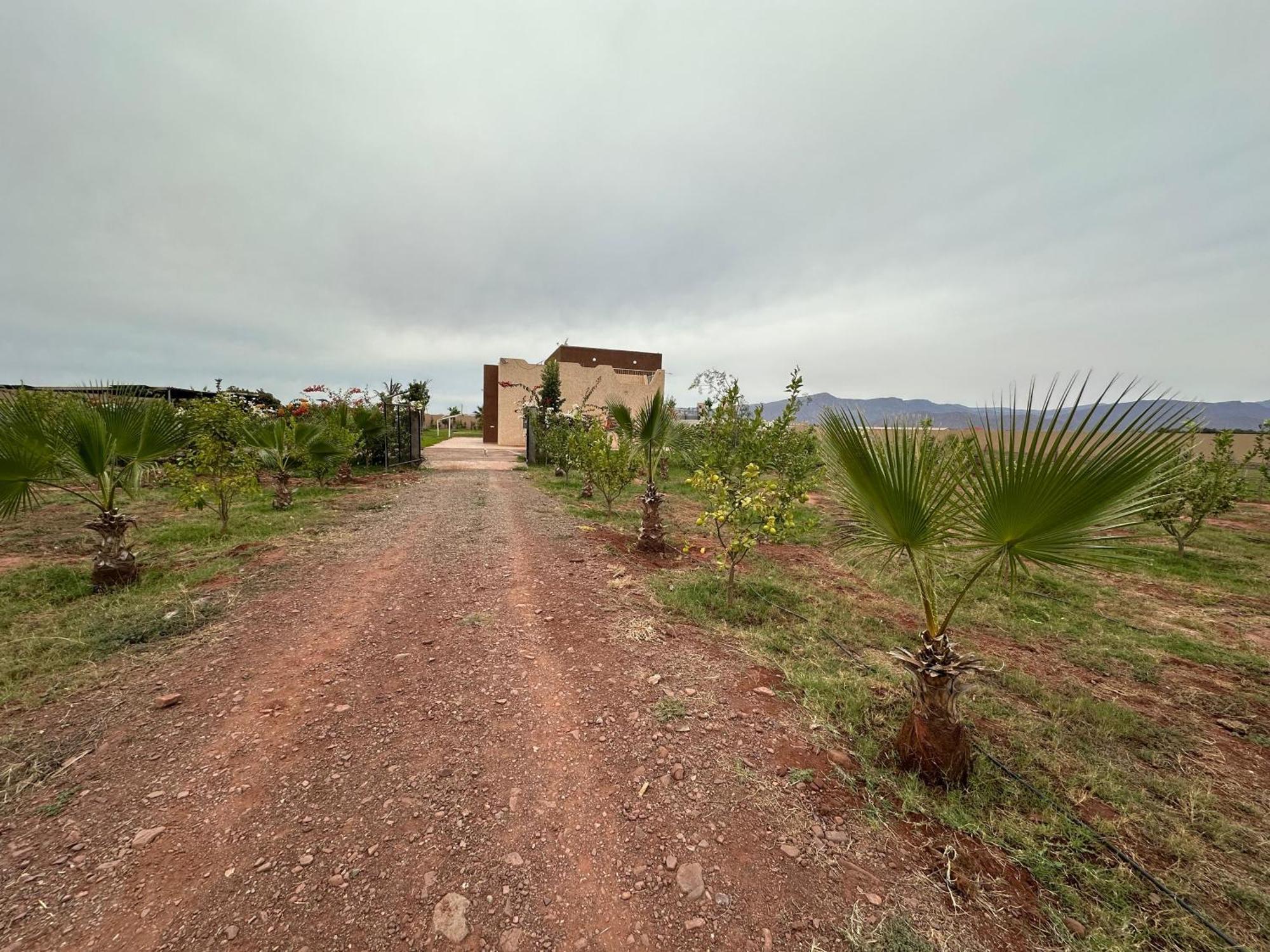 New !! Calm And Peaceful Villa Inside A Farmstay In Agadir-Only For Family Exterior photo