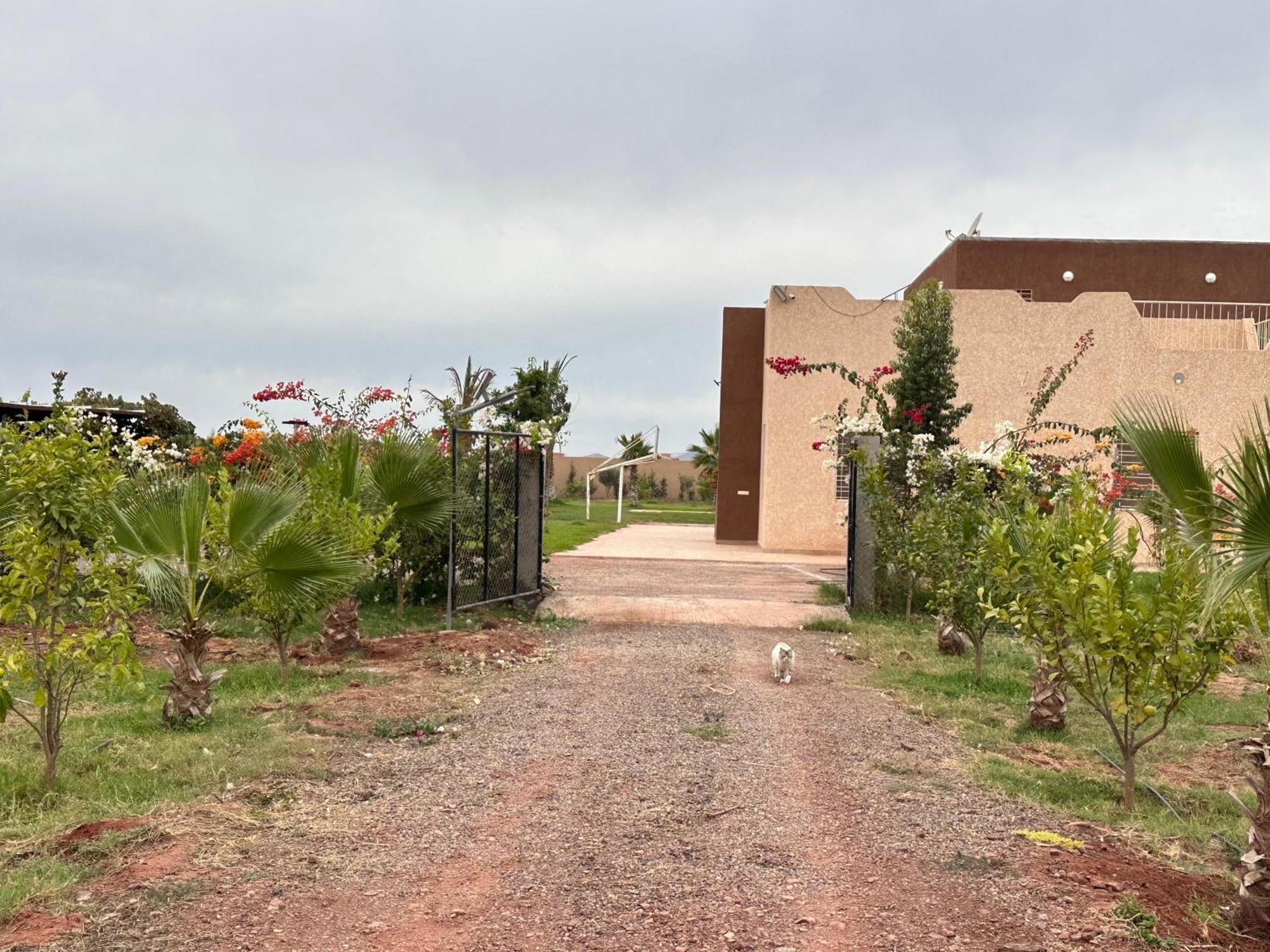 New !! Calm And Peaceful Villa Inside A Farmstay In Agadir-Only For Family Exterior photo