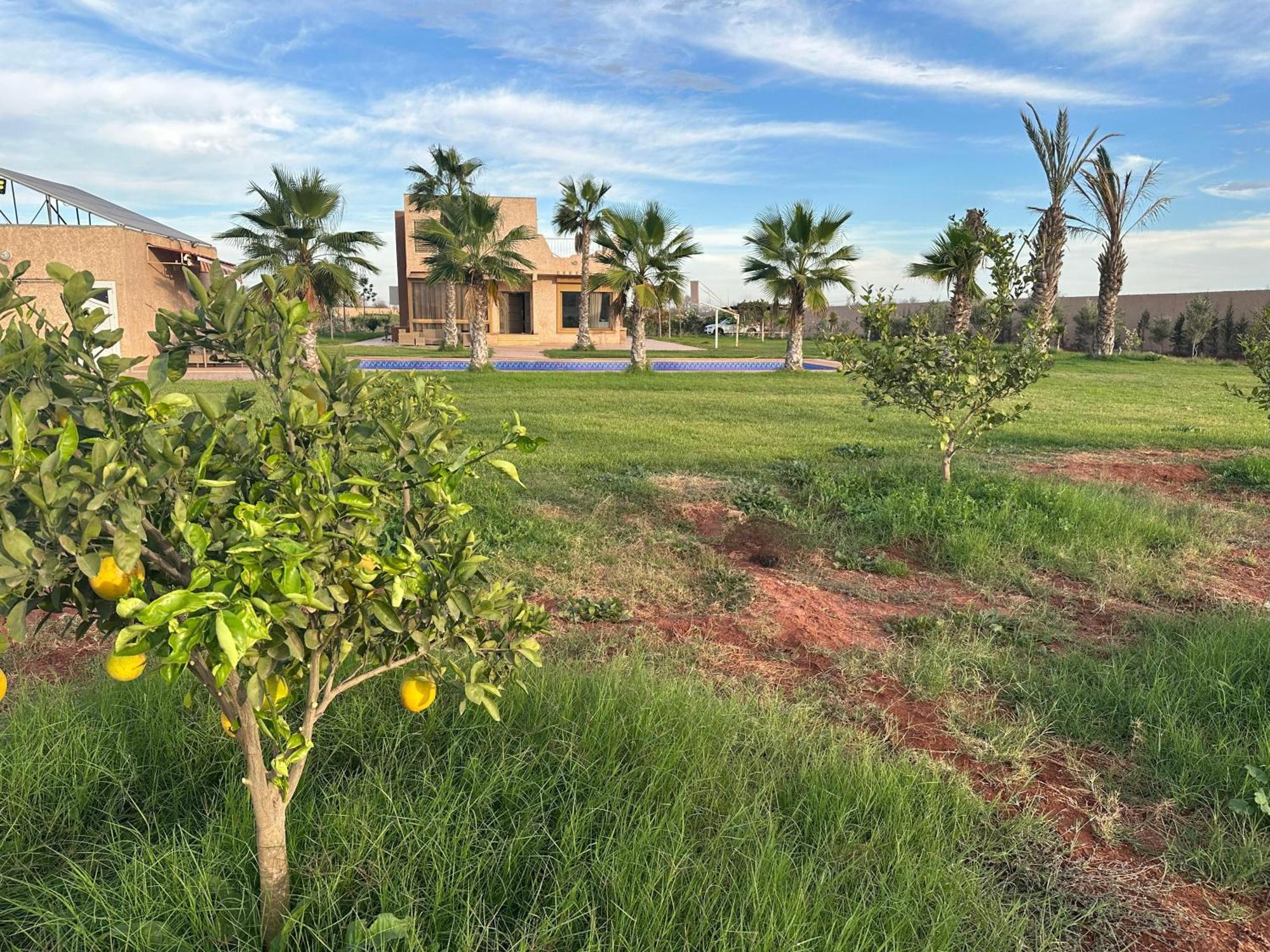 New !! Calm And Peaceful Villa Inside A Farmstay In Agadir-Only For Family Exterior photo